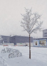 Winter in Muggenhof 2